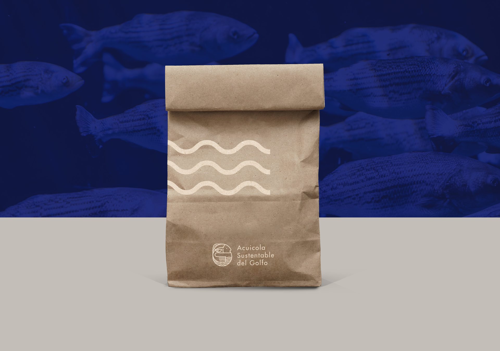 ASG kraft paper bag with wave pattern over a fish photograph