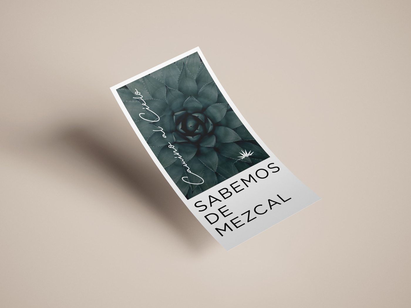 Camino al Cielo campaign flyer