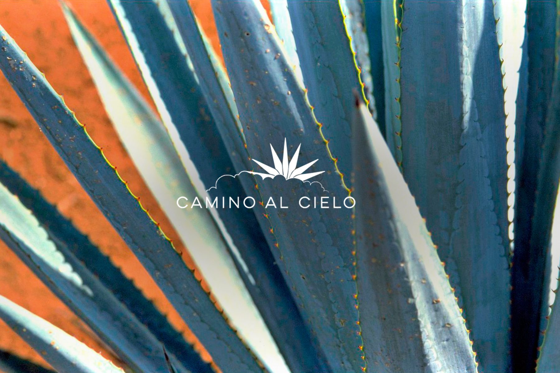 Camino al Cielo