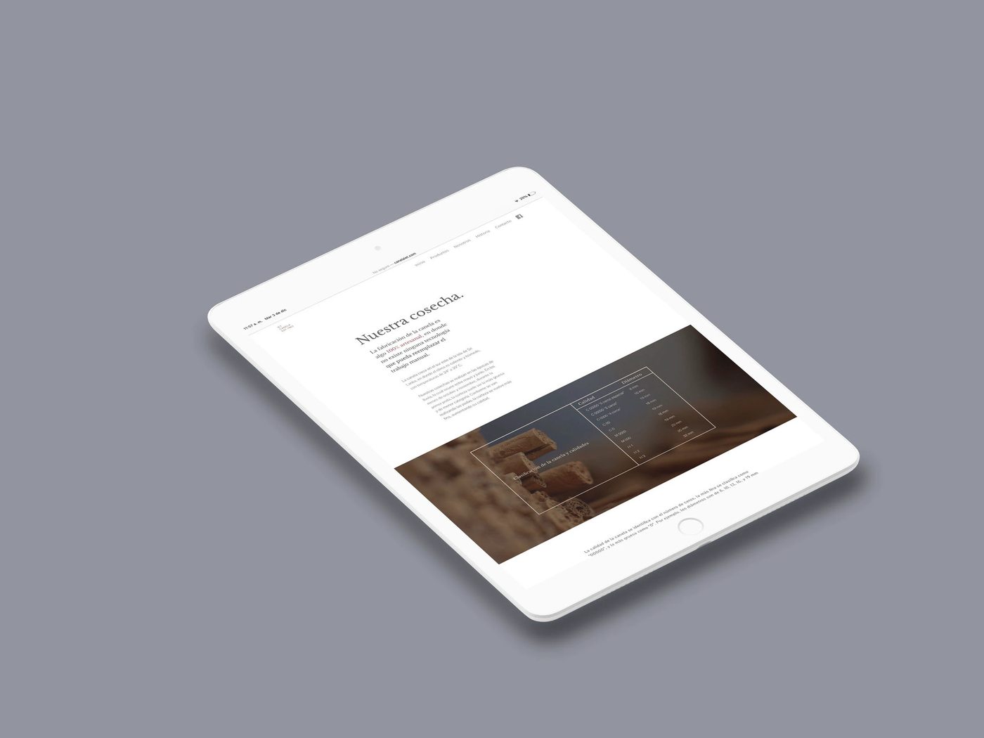 Canela IET website shown on an iPad